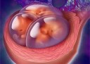 什么时候同房容易绍兴代怀孕